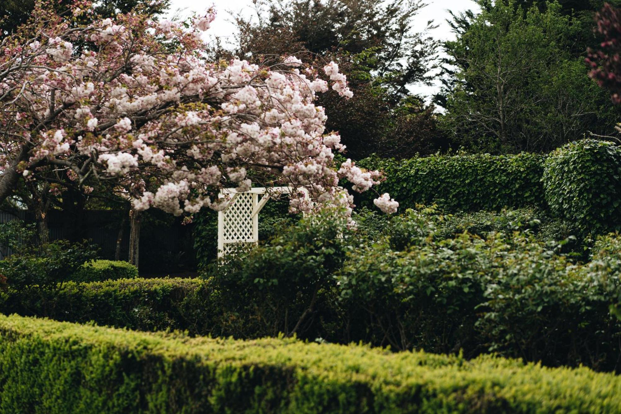 Brackenridge Country Retreat & Spa Martinborough Esterno foto