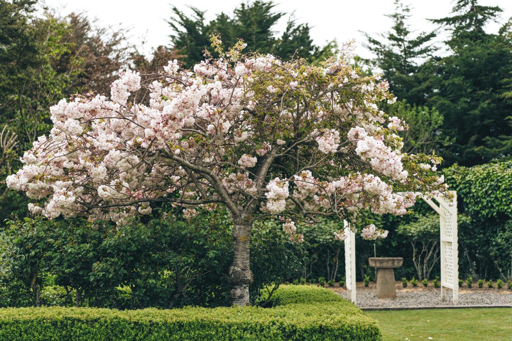 Brackenridge Country Retreat & Spa Martinborough Esterno foto
